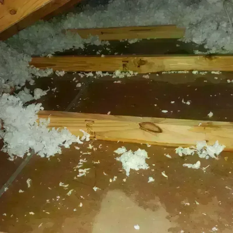 Attic Water Damage in Churchill, PA