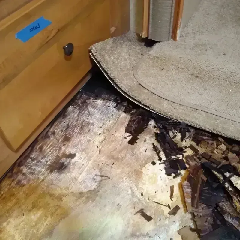 Best Wood Floor Water Damage Service in Churchill, PA